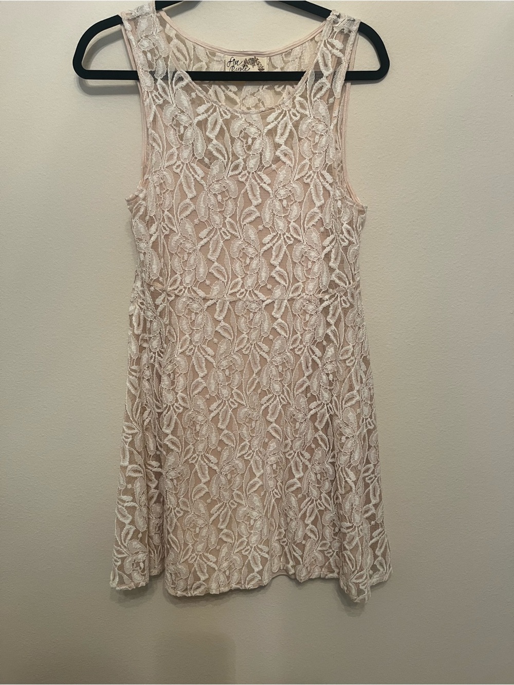 Free People Sleeveless Lace Overlay Dress in Blush